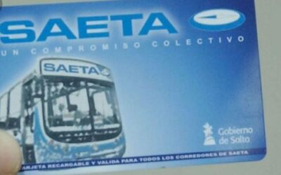 Amparo colectivo contra SAETA y AMT- servicio de transporte público de pasajeros de Salta